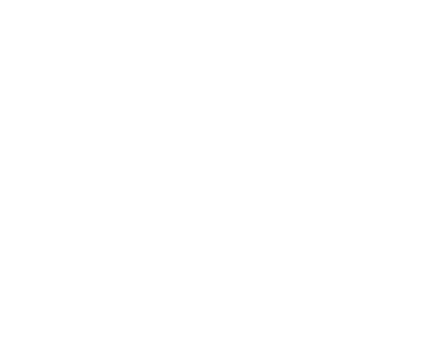 diego-mondragon-logo